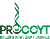 logo-proccyt